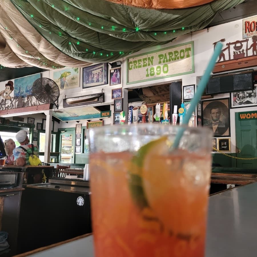 Green Parrot Bar