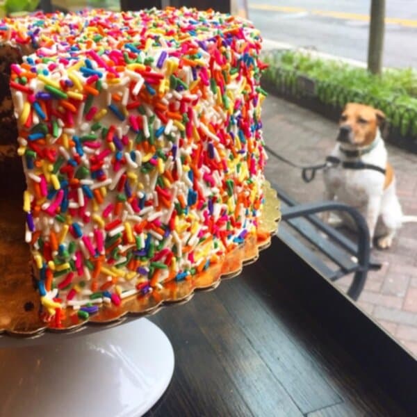 The Dairy Godmother, Alexandria, VA, Seen On Unique Eats